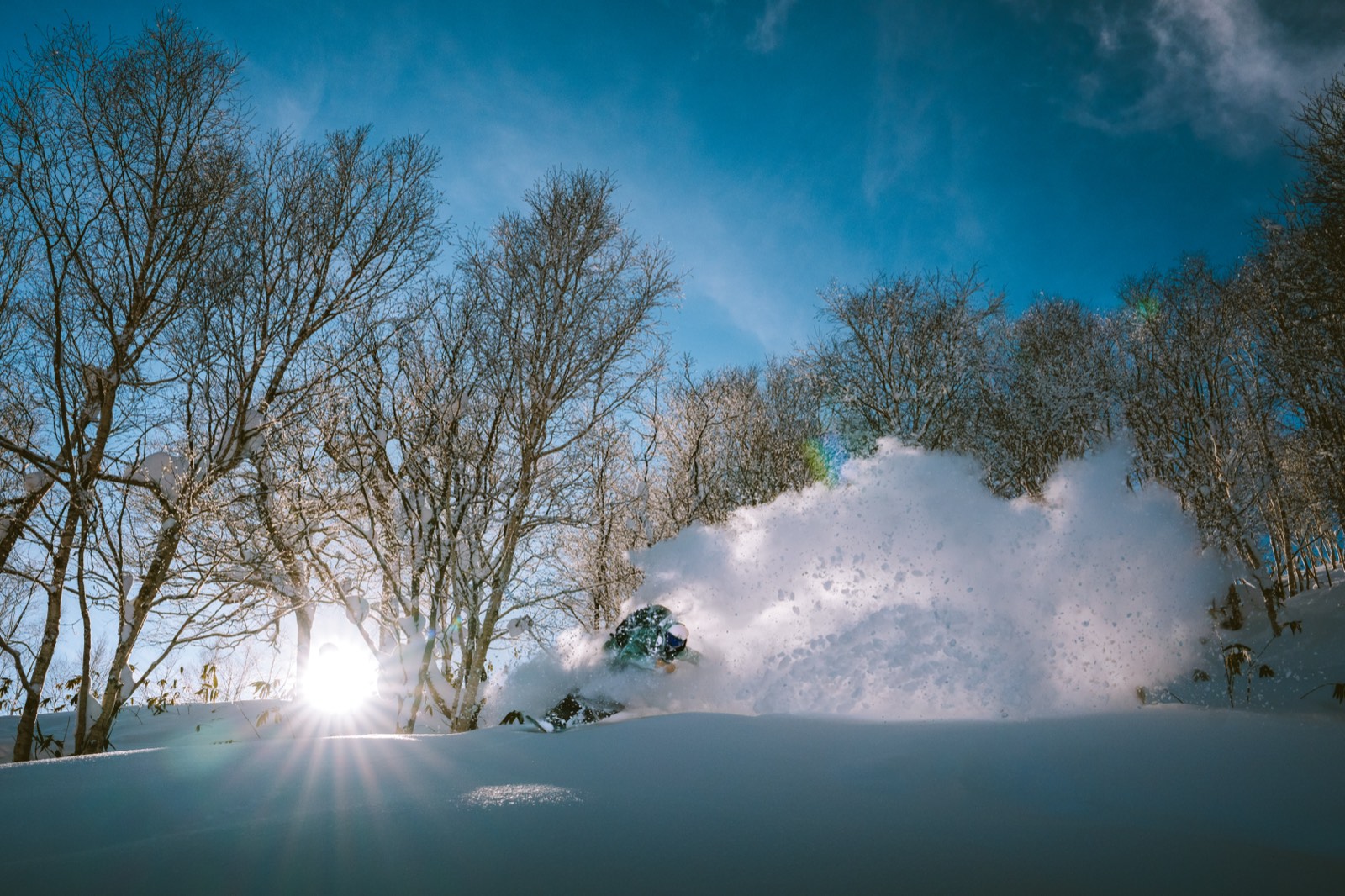 Snowboarder che scarica powder tra gli alberi, Hokkaido