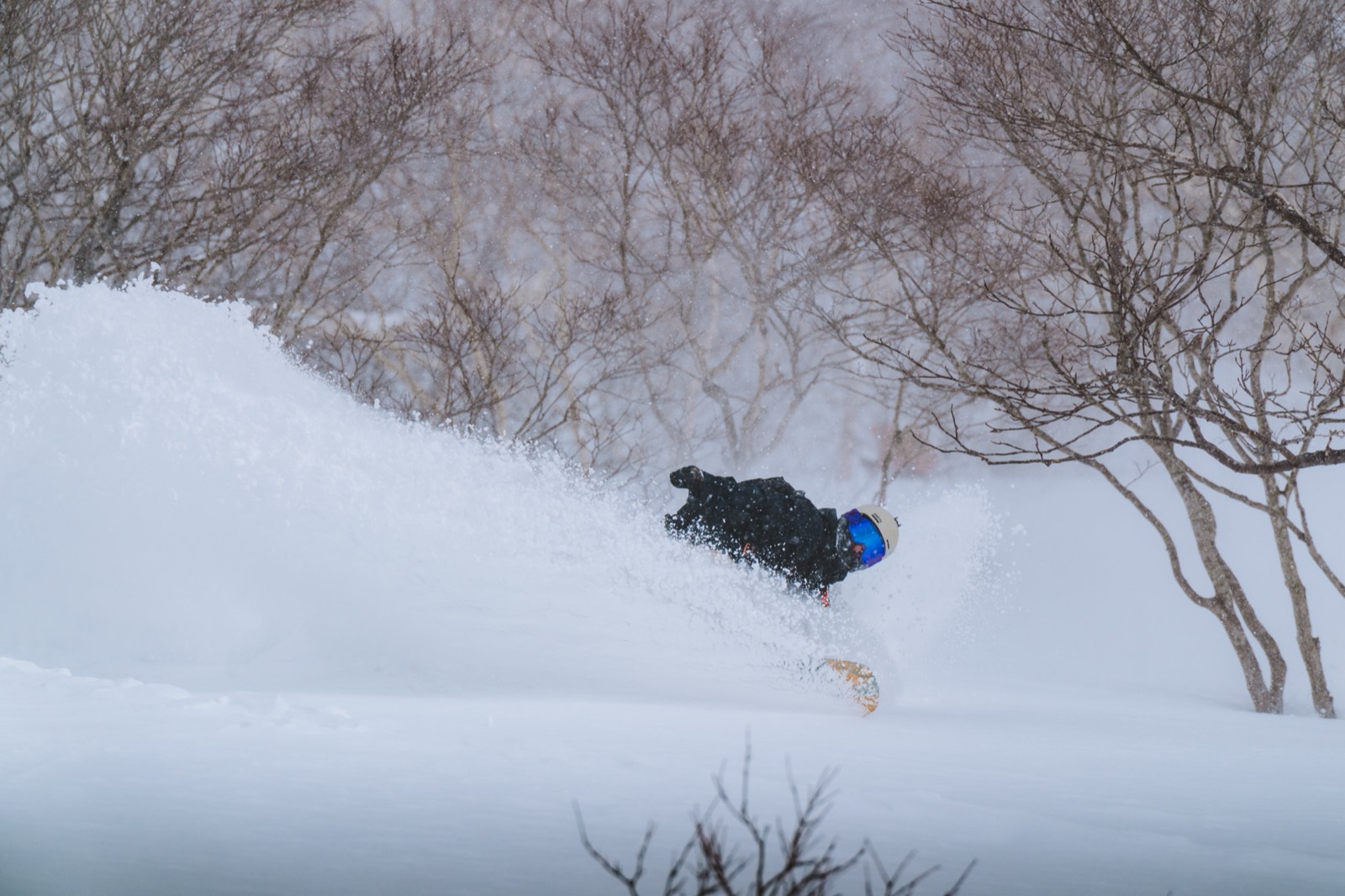 Snowboarder in powder profonda tra gli alberi